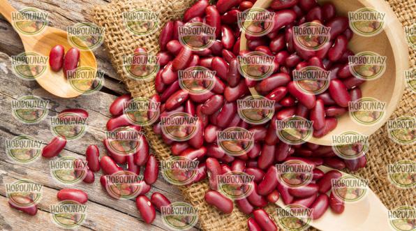 قطب تولید لوبیا قرمز در ایران