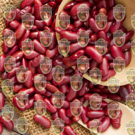 عرضه انواع لوبیا قرمز سورت شده