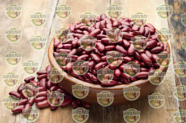 بازار پخش لوبیا قرمز صادراتی