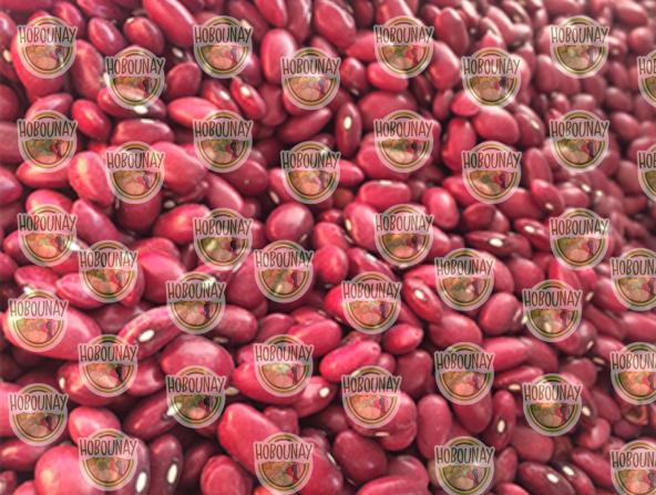 تولید کننده انواع لوبیا قرمز 900 گرمی