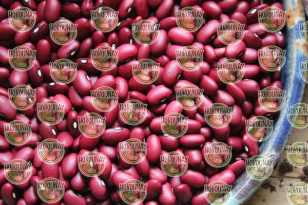 فروش مستقیم انواع لوبیا قرمز فله