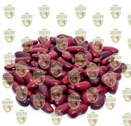 بازار خرید انواع لوبیا قرمز خمین
