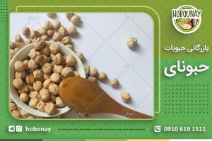 مرکز خرید و فروش مستقیم نخود کرمانشاه