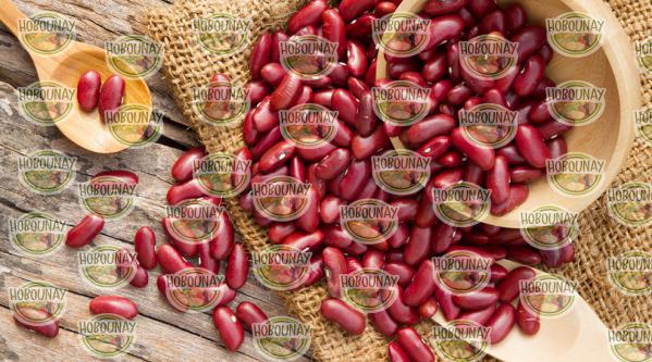 قیمت بهترین لوبیا قرمز ایران